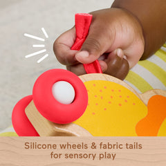 Fisher-Price Wooden Push Along Animals, Lion & Zebra Toy Vehicles For Baby Crawling Play