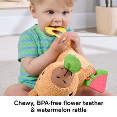 Fisher-Price Snuggly Snacky Capybara Plush Baby Sensory Toy With Teether & Rattle For Newborns